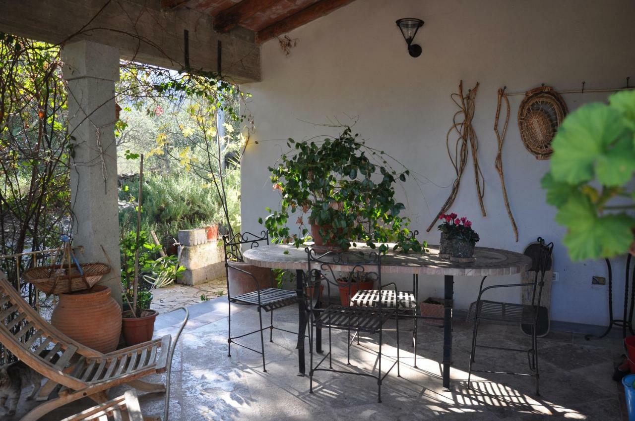 Casa D' Artista B&B Ozieri Luaran gambar
