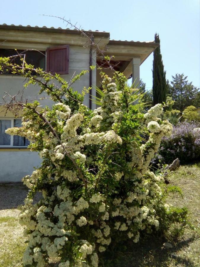 Casa D' Artista B&B Ozieri Luaran gambar