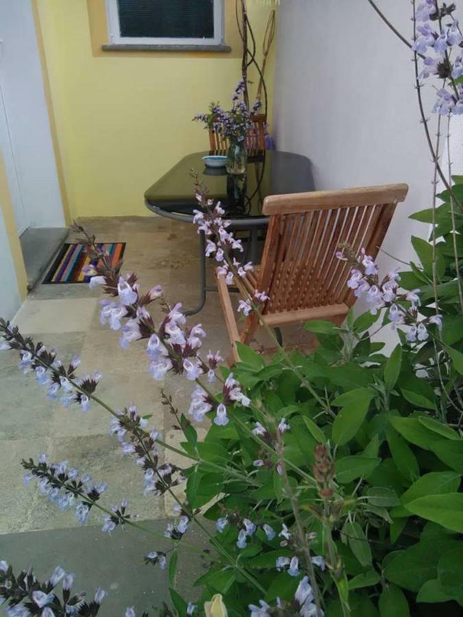 Casa D' Artista B&B Ozieri Luaran gambar