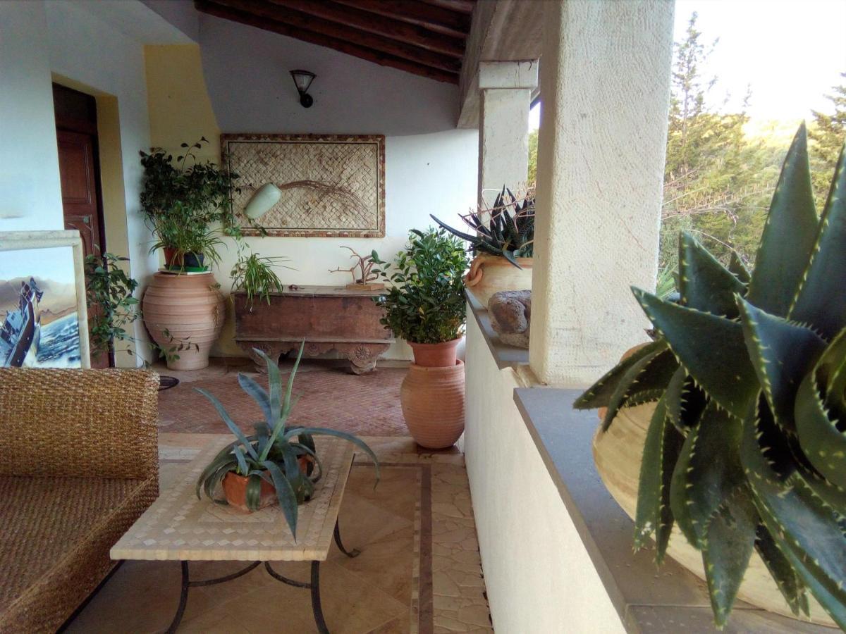 Casa D' Artista B&B Ozieri Luaran gambar